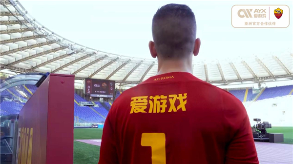 公众对于政